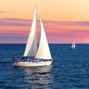 Meet your Posher, Gina